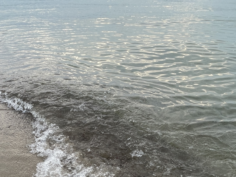 Пассажиры парома из Турции в Сочи ждут отправки домой в Трабзоне